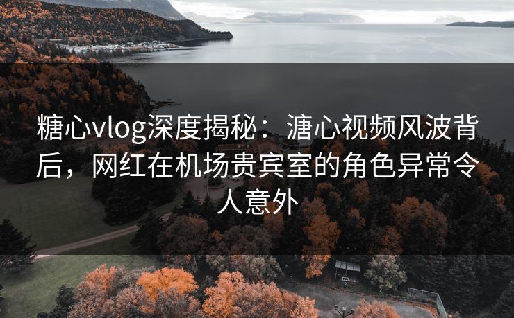 糖心vlog深度揭秘：溏心视频风波背后，网红在机场贵宾室的角色异常令人意外