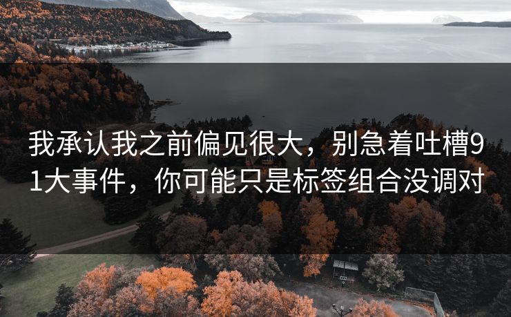 我承认我之前偏见很大，别急着吐槽91大事件，你可能只是标签组合没调对