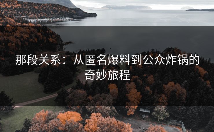 那段关系:从匿名爆料到公众炸锅的奇妙旅程